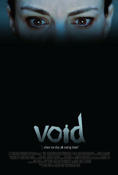 Void (2009)