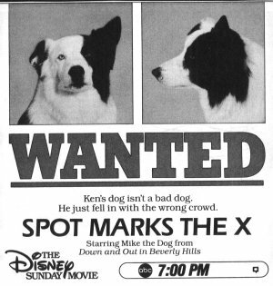 Собачий секрет (1986)