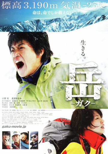 Вершина: Спасатели (2011)